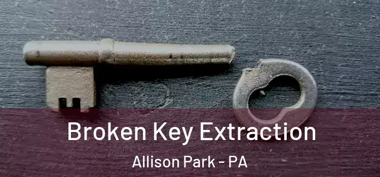  Broken Key Extraction Allison Park - PA